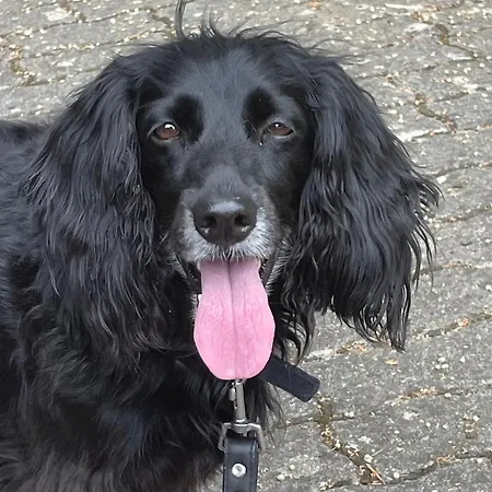 La Casetta Di Marzapane Casa-natura Apartamento Senigallia