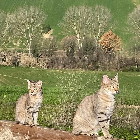 Apartamento La Casetta Di Marzapane Casa-natura Senigallia