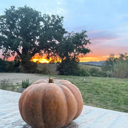 La Casetta Di Marzapane Casa-natura *
