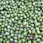 아파트 La Casetta Di Marzapane Casa-natura