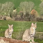 아파트 La Casetta Di Marzapane Casa-natura 세니갈리아