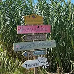 La Casetta Di Marzapane Casa-natura 아파트 세니갈리아