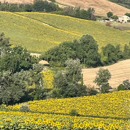 La Casetta Di Marzapane Casa-natura Lägenhet *