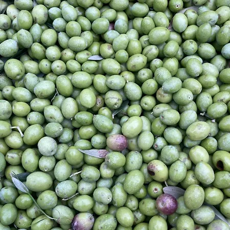 Apartment La Casetta Di Marzapane Casa-natura