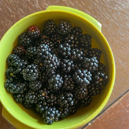 La Casetta Di Marzapane Casa-natura Apartment