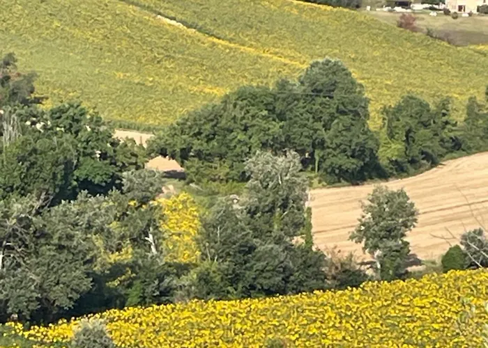 La Casetta Di Marzapane Casa-natura Appartement *