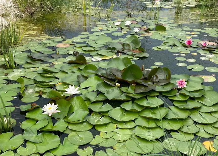 La Casetta Di Marzapane Casa-natura Appartement Senigallia