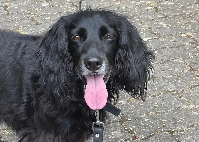 La Casetta Di Marzapane Casa-natura Apartmán Senigallia
