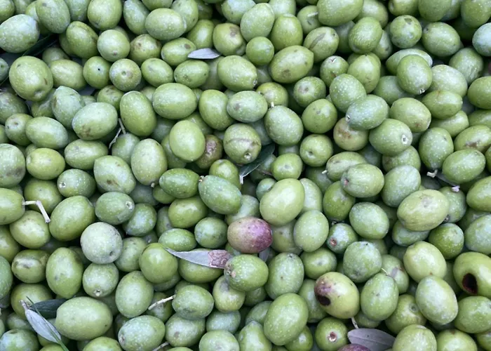 Appartement La Casetta Di Marzapane Casa-natura