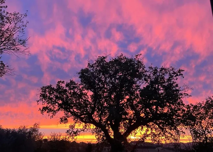 Apartmán La Casetta Di Marzapane Casa-natura
