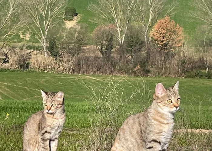 Apartmán La Casetta Di Marzapane Casa-natura Senigallia
