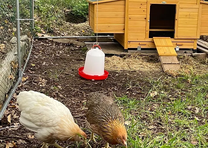 La Casetta Di Marzapane Casa-natura Senigallia