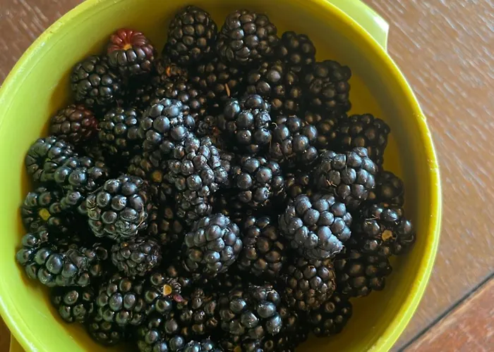 La Casetta Di Marzapane Casa-natura Apartmán