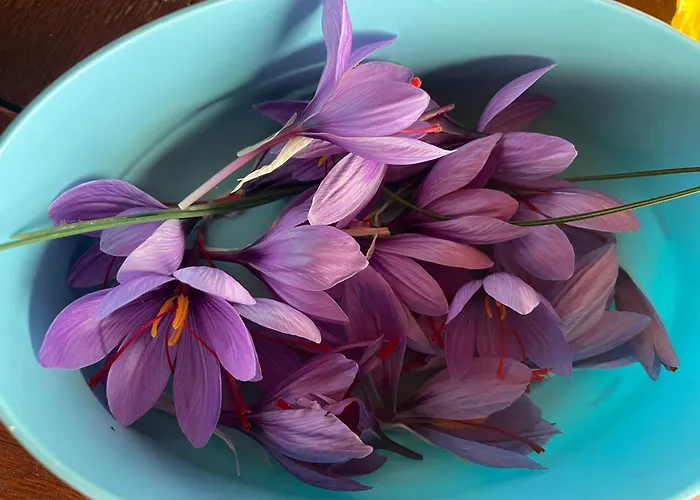 La Casetta Di Marzapane Casa-natura